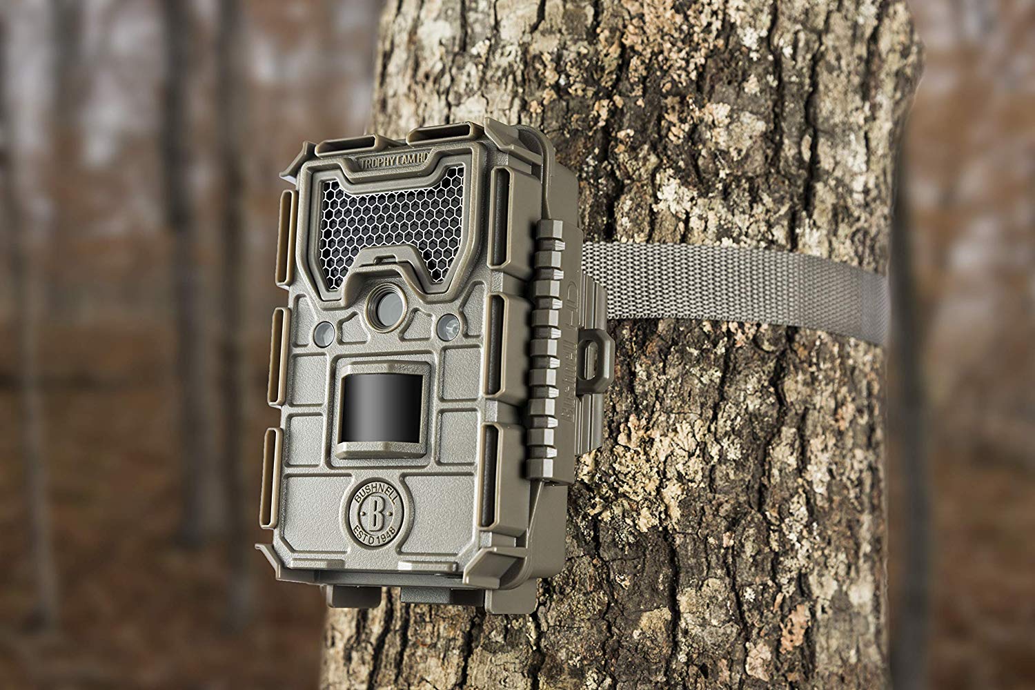 Best Inexpensive Trail Cameras – Budget Picks That Actually Work in 2026